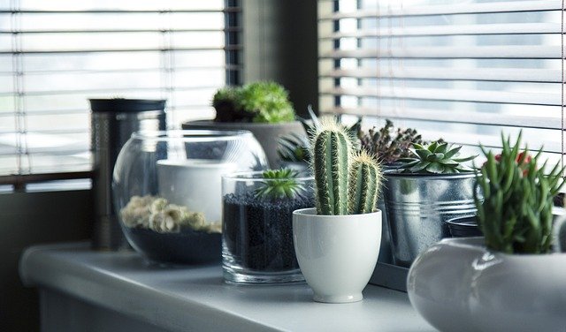 Guide pratique de la déco intérieure