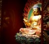 Comment porter les joncs bouddhistes?