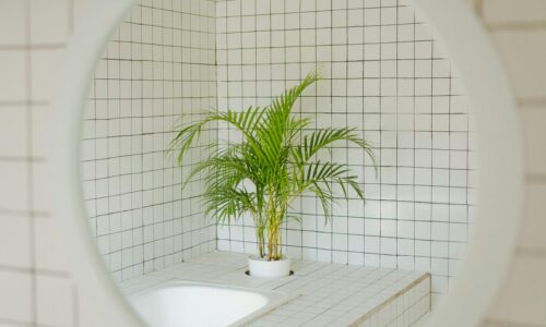 Tinker Boutique : votre référence en ligne pour le carrelage extérieur de qualité
