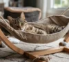 Pourquoi opter pour un hamac pour votre chat ?